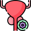 Gynecological Cancers treatment
